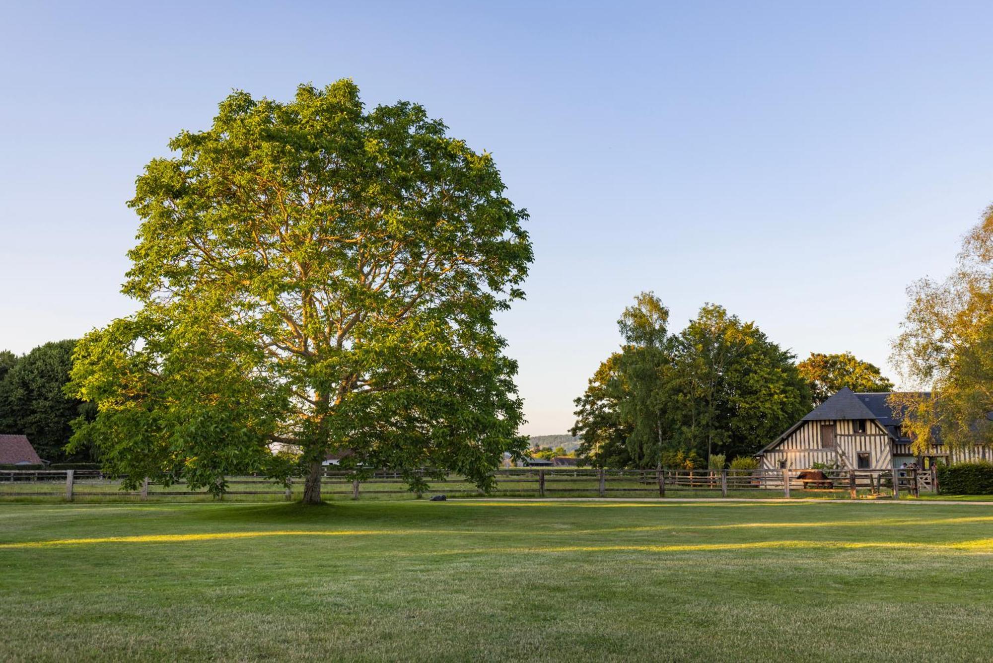 La Maison Corniere Bieville-en-Auge ภายนอก รูปภาพ