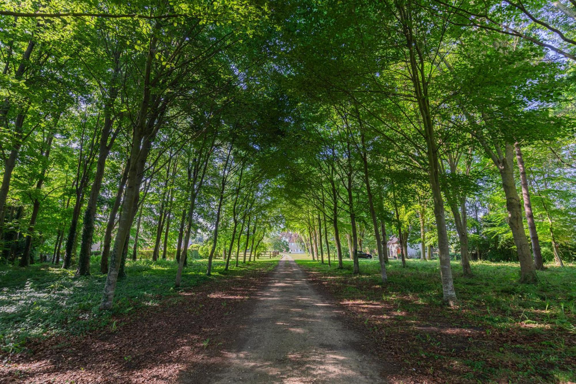 La Maison Corniere Bieville-en-Auge ภายนอก รูปภาพ