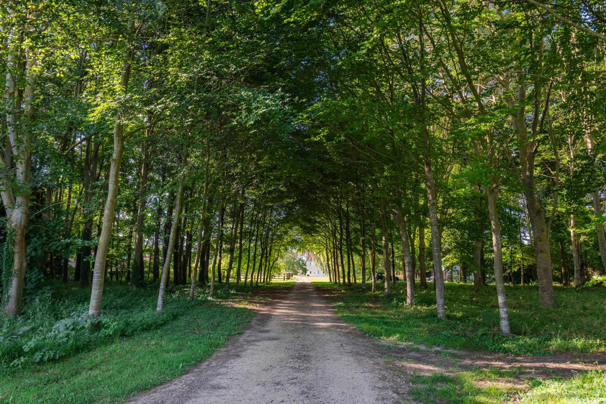 La Maison Corniere Bieville-en-Auge ภายนอก รูปภาพ
